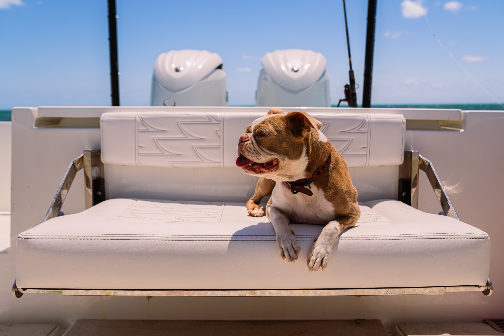 Parker Boats 247 Explorer Interior 11